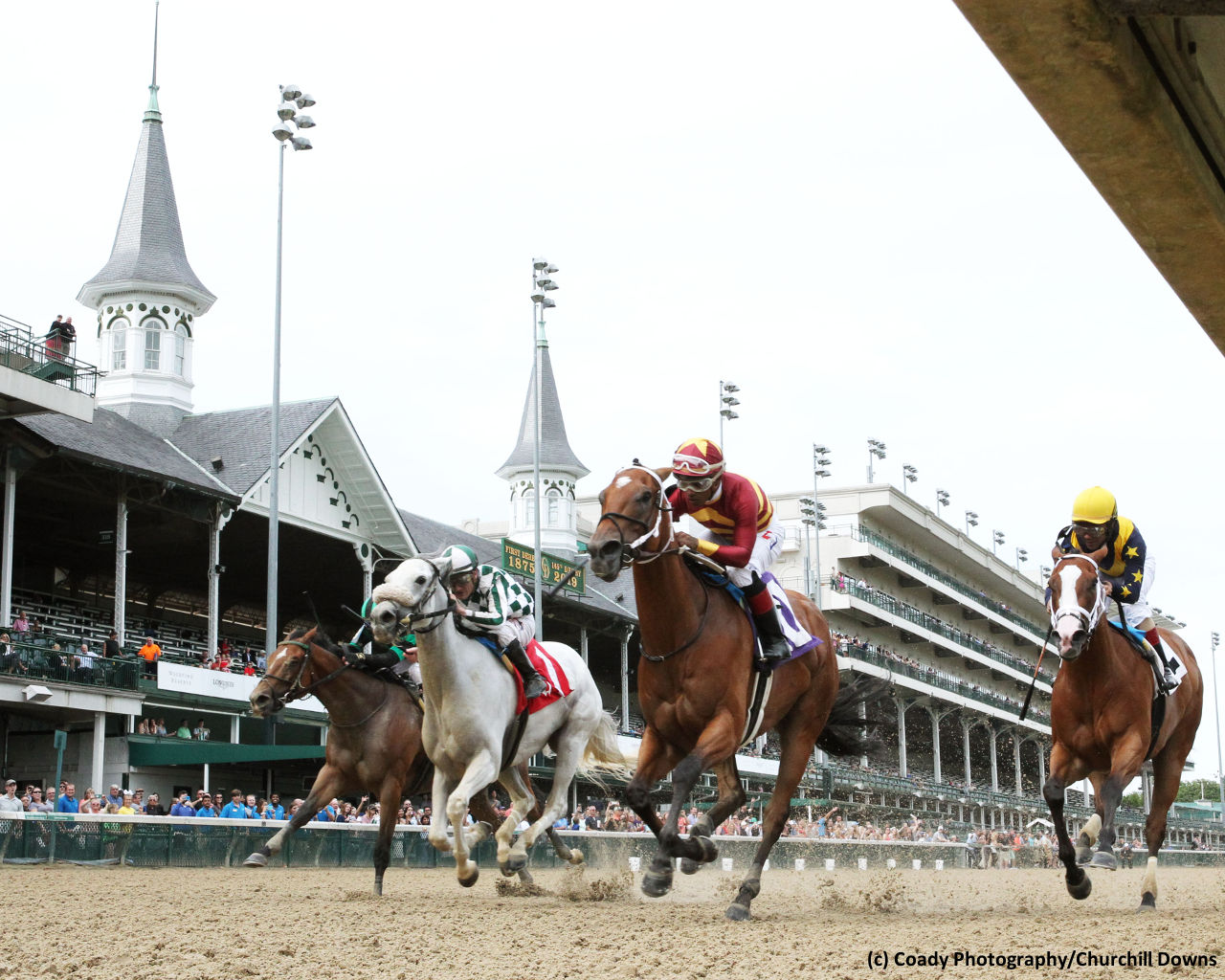 Mia Mischief out-duels Covfefe in Roxelana Stakes - Brisnet