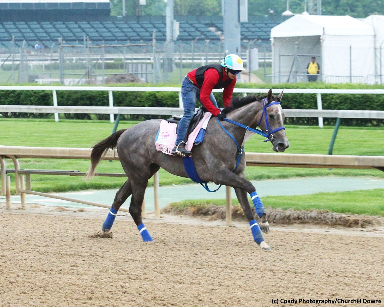 Jaywalk returns against six in Delaware Oaks - Brisnet