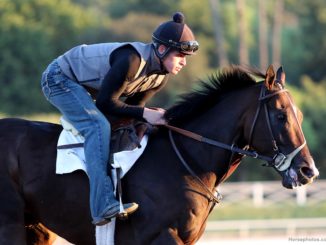 Omaha Beach at Santa Anita 2019