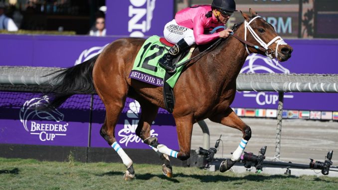 Belvoir Bay (GB) wins the Breeders' Cup Turf Sprint 2019