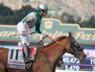 Blue Prize wins the Breeders' Cup Distaff 2019