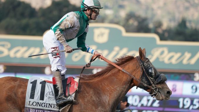 Blue Prize wins the Breeders' Cup Distaff 2019