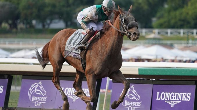 Blue Prize wins the Breeders' Cup Distaff 2019