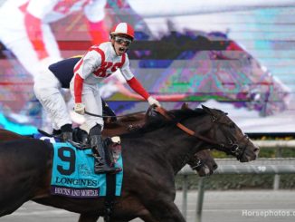 Bricks and Mortar wins the Breeders' Cup Turf