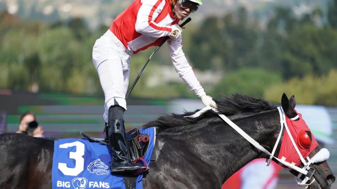 Spun to Run wins the Breeders' Cup Dirt Mile 2019