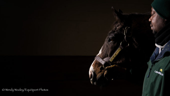 AP Indy with his groom Asa Haley