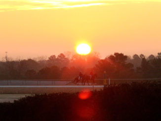 Oaklawn Park Sunrise