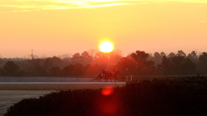 Oaklawn Park Sunrise