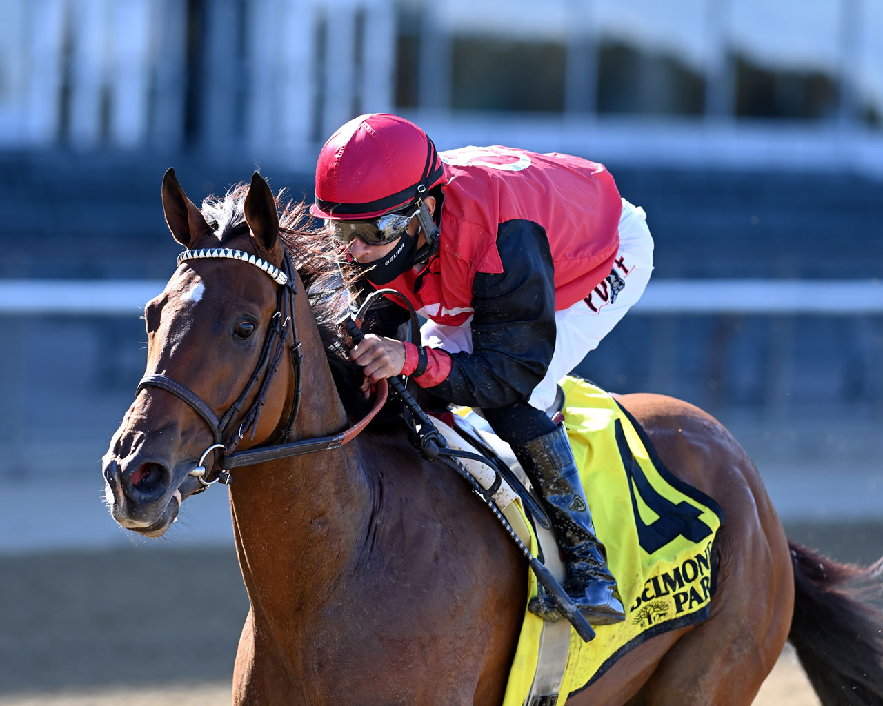 Complexity turns back Code of Honor in Kelso; Frank’s Rockette ...