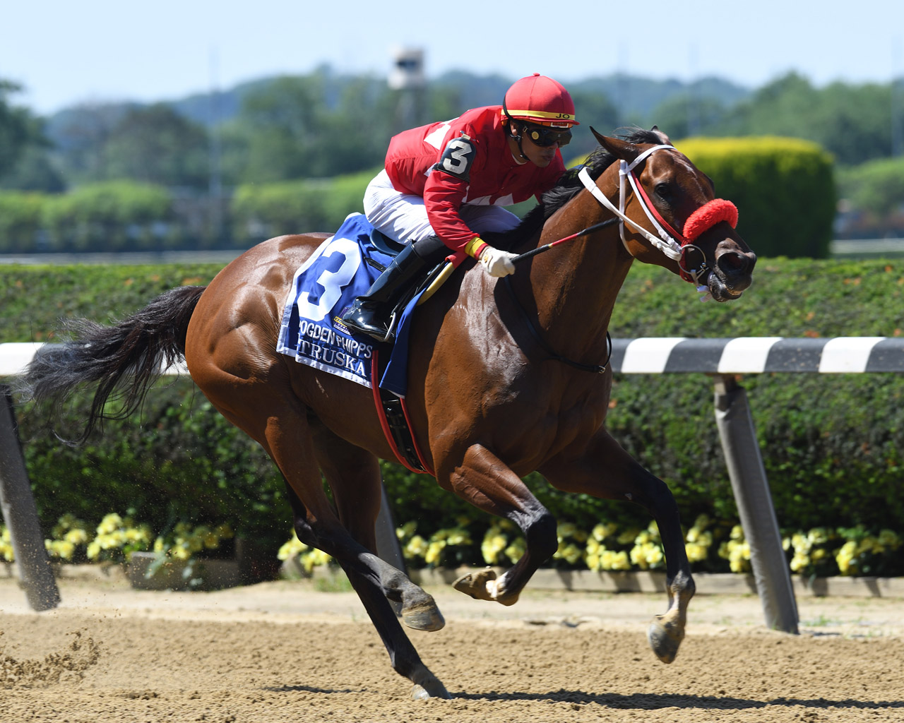 Maxfield a towering presence in nine-horse Stephen Foster; Letruska ...