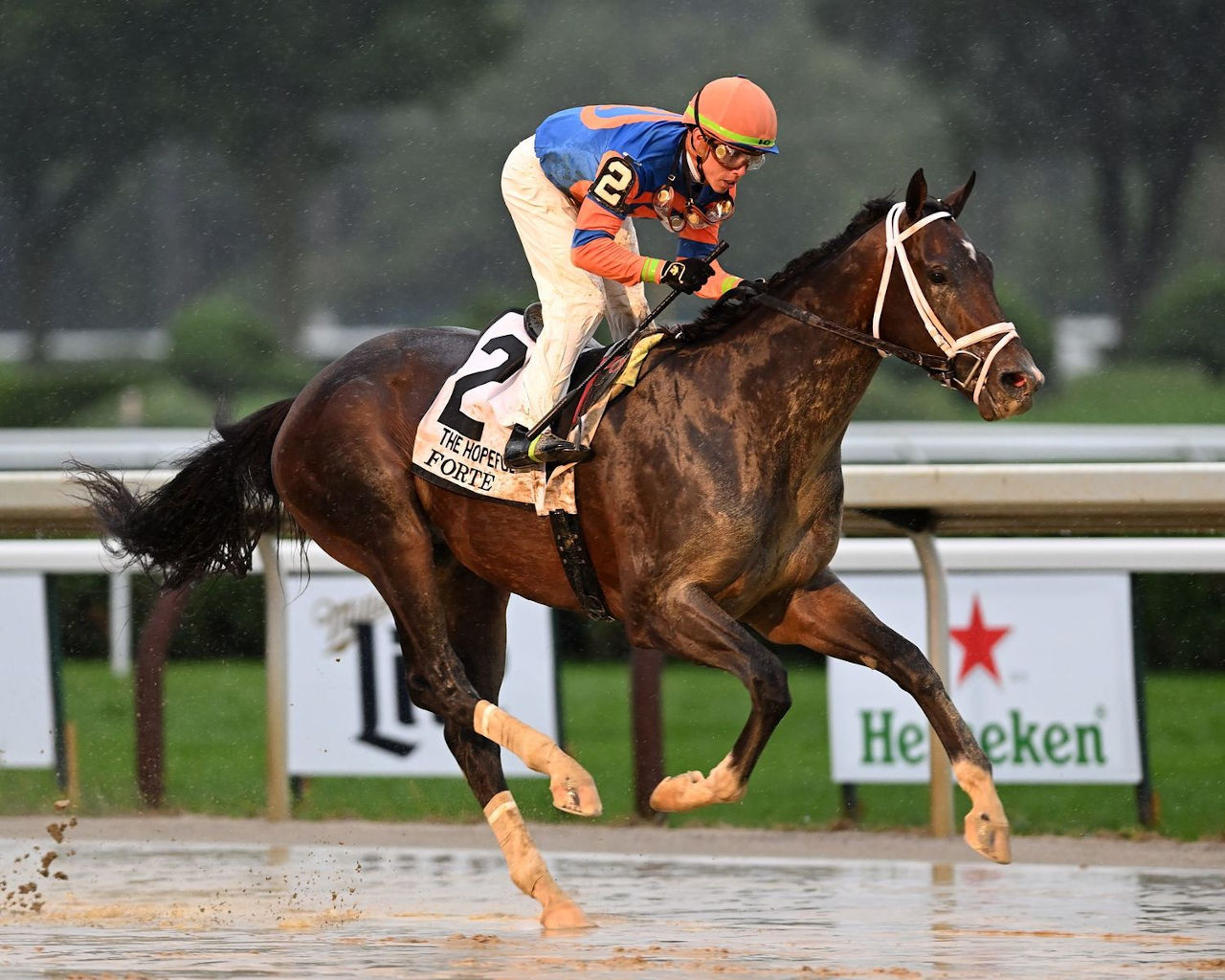 Forte strongly favored in Florida Derby; Dorth Vader stretches back out