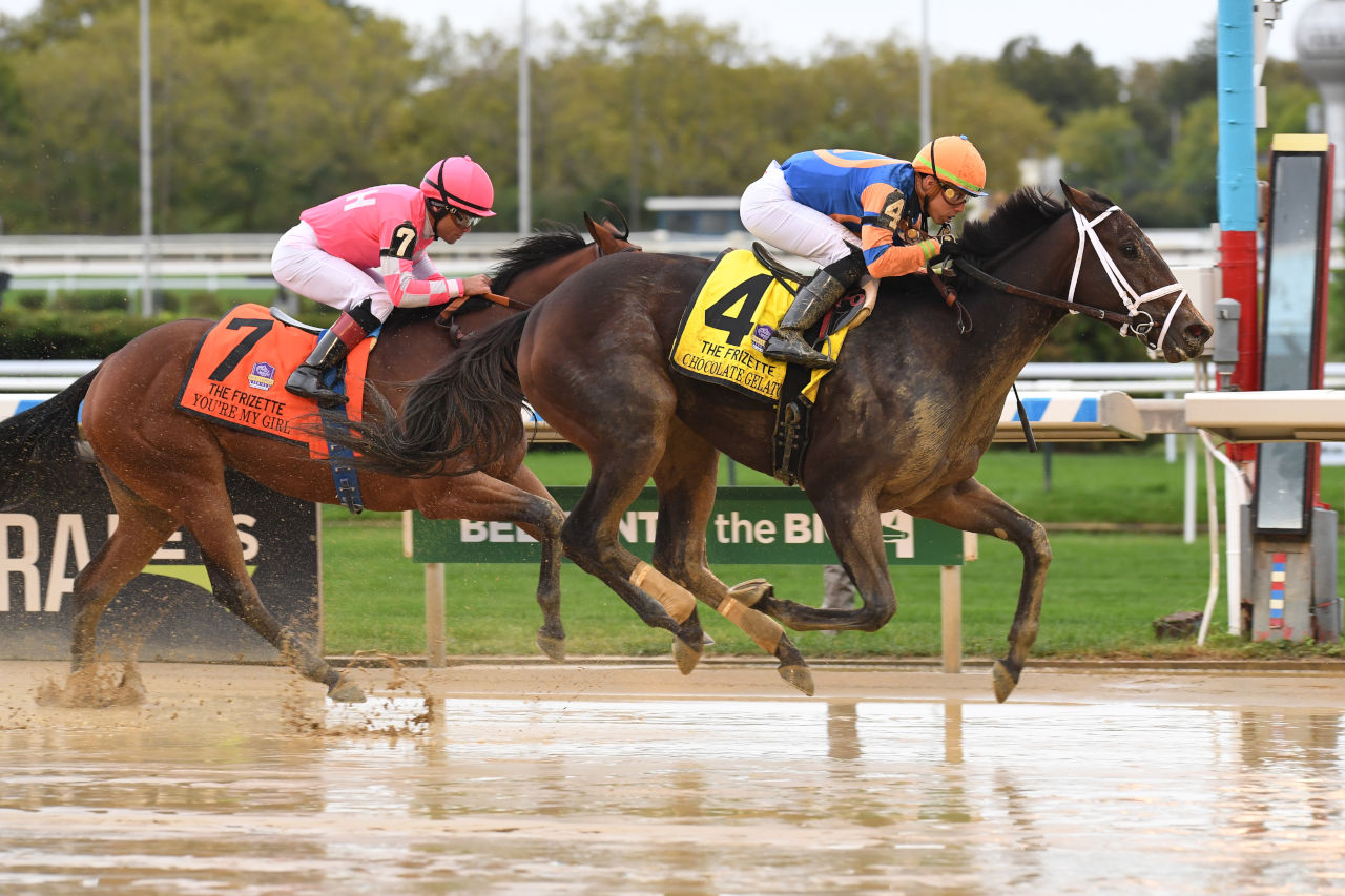 Rescheduled Wonder Again, Jersey Girl Make For Four-stakes Card With ...