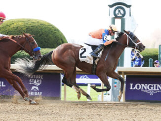 Giant Mischief wins race 4 on Nov. 4 at Keeneland.