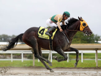 Nimitz Class at Parx Racing in the Dirt Mile