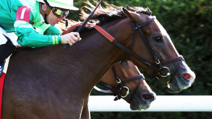 Gina Romantica in The First Lady at Keeneland