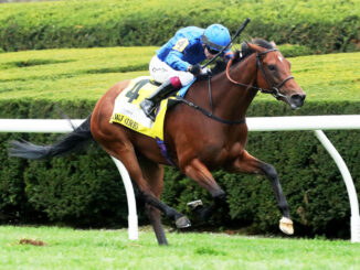 Mawj in The Queen Elizabeth II Challenge Cup (G1) at Keeneland