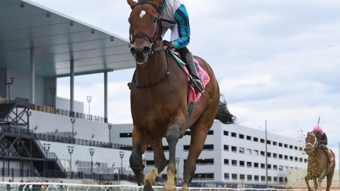 Book'em Danno in the Futurity at Aqueduct