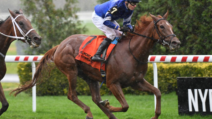 Eternal Hope in the Sands Point at Aqueduct