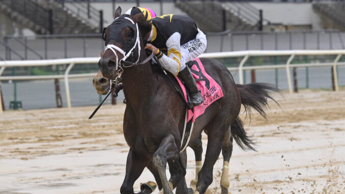 Lost Ark in the Jockey Club at Aqueduct