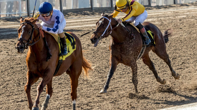 Legalize winning the Sugar Bowl S. at Fair Grounds