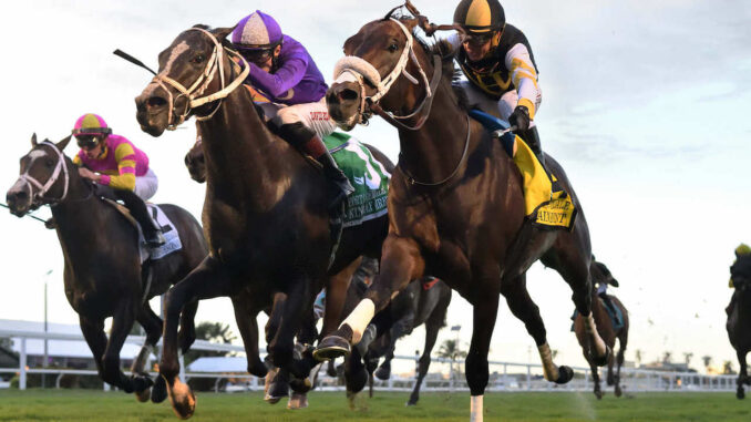 Main Event wins the Fort Lauderdale at Gulfstream Park