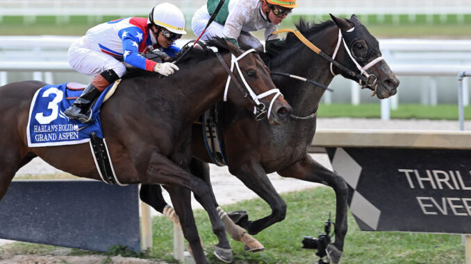 OConnor wins the Harlan Holiday at Gulfstream Park