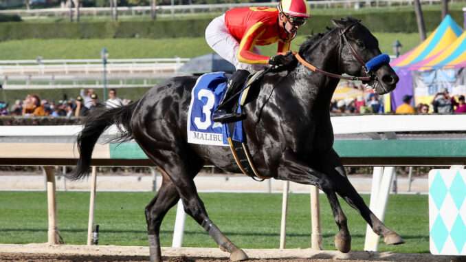 Speed Boat Beach wins Malibu S. (G1) at Santa Anita