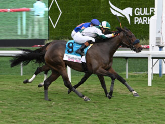 Dida wins the Pegasus World Cup Turf at Gulfstream Park