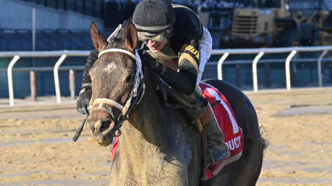 Gin GIn wins the Busanda at Aqueduct