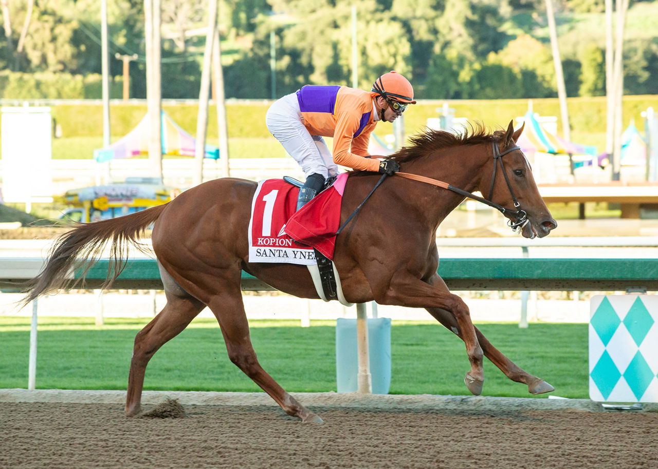 Kopion gets first two-turn test in Las Virgenes - Brisnet