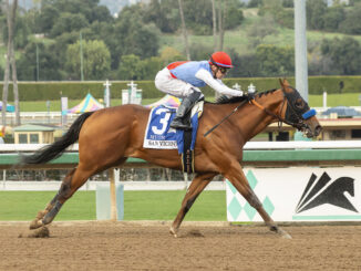 Muth wins the San Vicente Stakes (G2) at Santa Anita Park