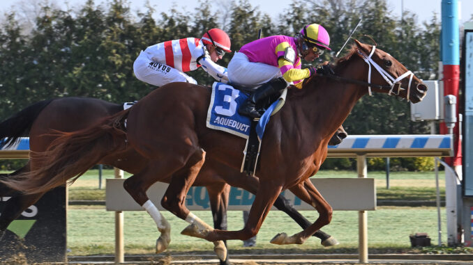 Speed Runner wins at Aqueduct