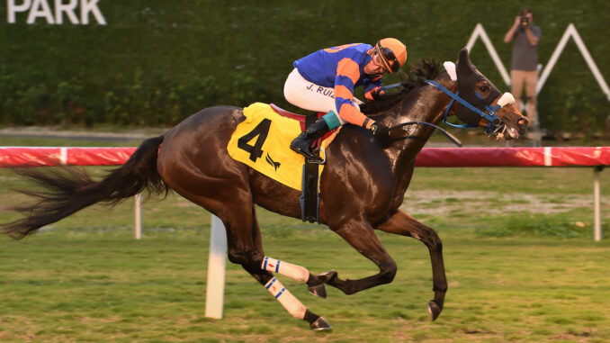 Tocayo wins The Dania Beach S. at Gulfstream Park