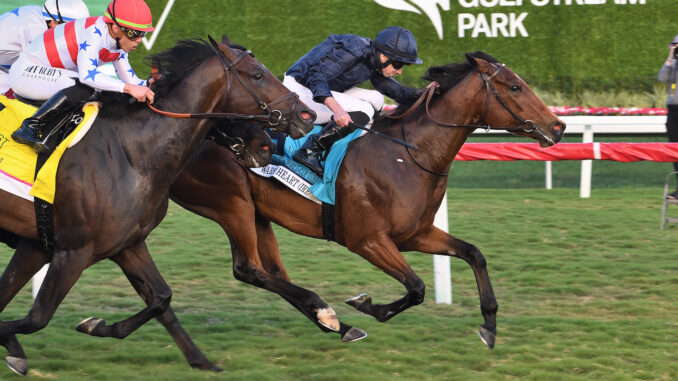 Warm Heart wins The Pegasus World Cup Turf S. at Gulfstream Park