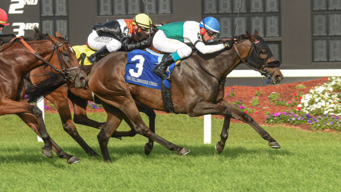 Sparkle Blue wins the Hillsborough S. (G2) at Tampa Bay Downs