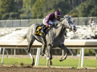 Sweet Azteca wins Beholder Mile (G1) at Santa Anita