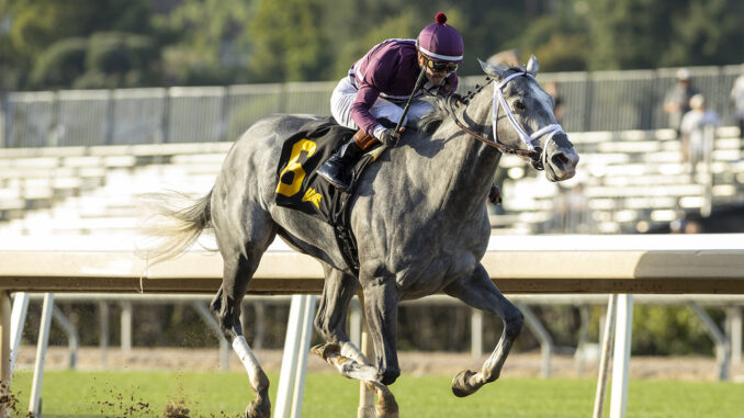 Sweet Azteca wins Beholder Mile (G1) at Santa Anita