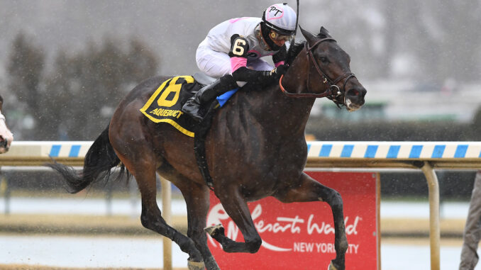 Jody's Pride wins The Busher at Aqueduct