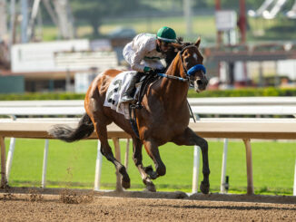 Eagles Flight impressed in his career debut at Santa Anita