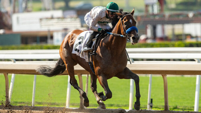 Eagles Flight impressed in his career debut at Santa Anita