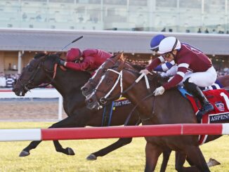 First World War nails Aspenite (rail) and Trikari (between) in the Penn Mile