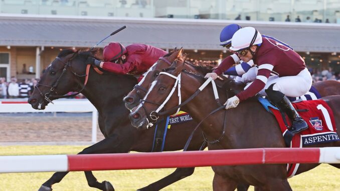 First World War nails Aspenite (rail) and Trikari (between) in the Penn Mile