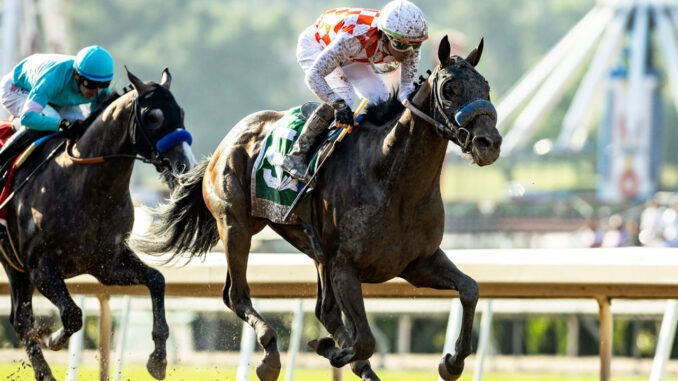 Mr Fisk was too strong for pacesetting stablemate Reincarnate in the Hollywood Gold Cup