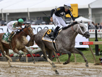 Seize the Grey wins the 2024 Preakness S. at Pimlico