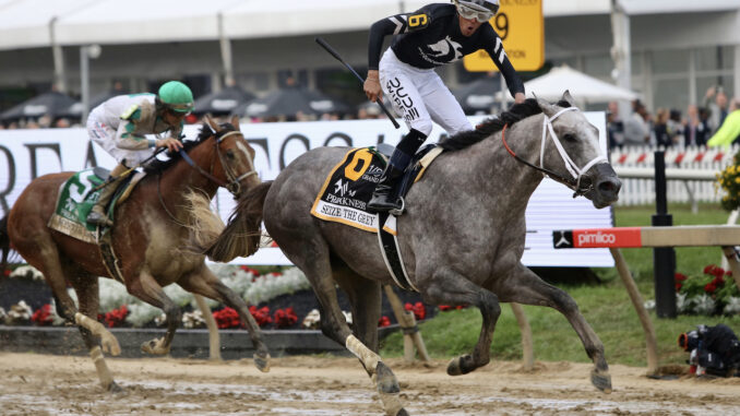 Seize the Grey wins the 2024 Preakness S. at Pimlico