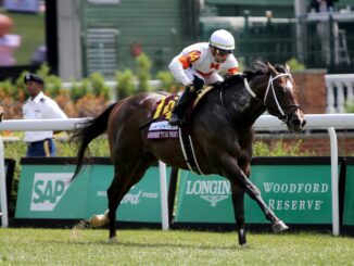 Cogburn winning the Twin Spires Turf Sprint (G2) at Churchill Downs (Photo by Horsephotos.com)