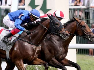 Program Trading (inside) defeats Naval Power in the Old Forester Bourbon Turf Classic (G1) at Churchill Downs (Photo by Horsephotos.com)