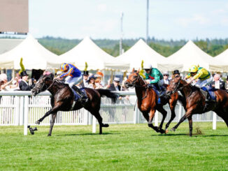 Auguste Rodin winning the Prince of Wales's (G1) at Royal Ascot (Photo by Megan Coggin/Ascot Racecourse)