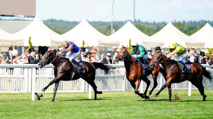 Auguste Rodin winning the Prince of Wales's (G1) at Royal Ascot (Photo by Megan Coggin/Ascot Racecourse)