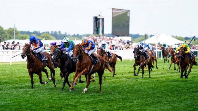 Fairy Godmother winning the Albany (G3) at Royal Ascot (Photo by Megan Coggin/Ascot Racecourse)